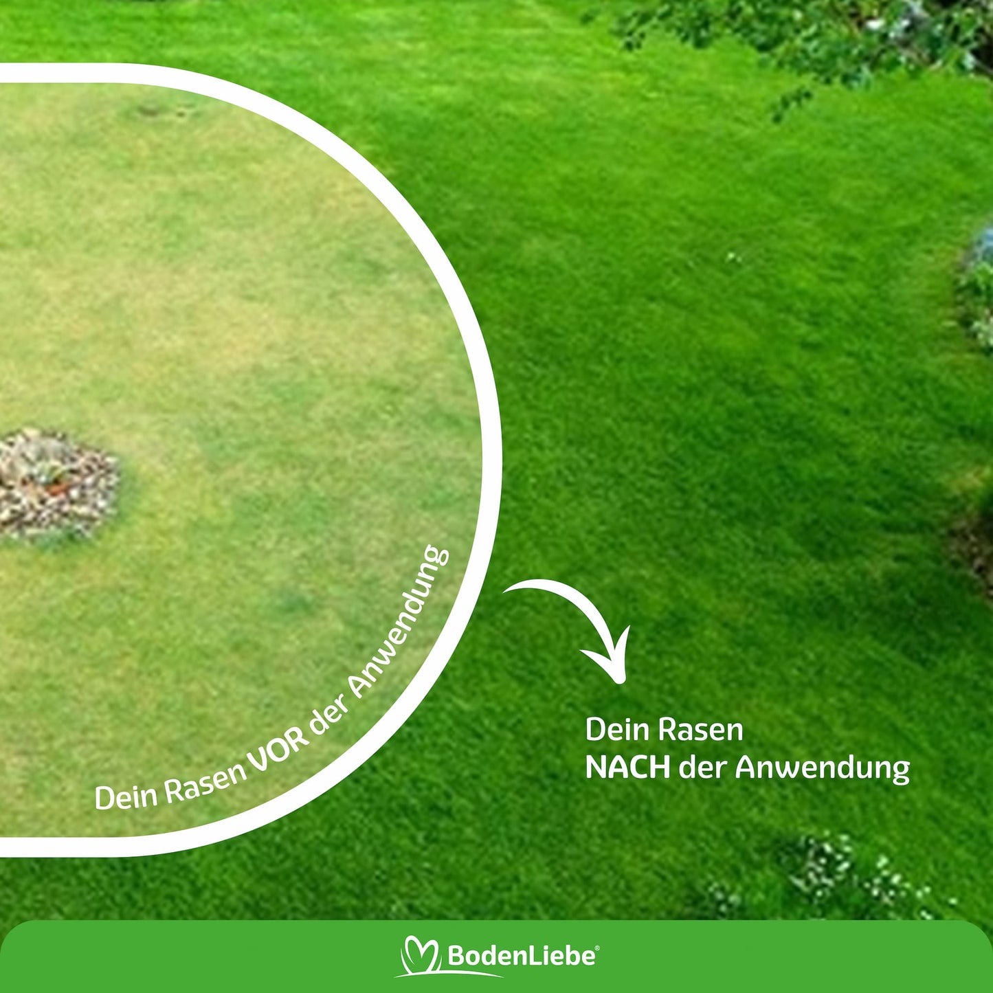 RASENBLITZ™ - SOMMERDÜNGER